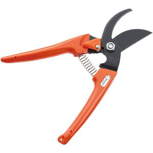 y[J[݌ɂz 1201O ()T{e T{e fB[X 1201-O JPX