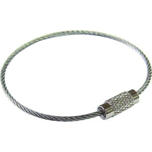 【メーカー在庫あり】 SKE102 (株)ニッサチェイン ニッサチェイン ステンレスキーワイヤー (100個入) SKE-102 JP店