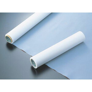 �y���[�J�[�݌ɂ���z MSF1000.5X500 �t�b�f����(PTFE)�t�B���� MSF-100 0.5t×500w×10m MSF100-0-5X500 JP�X