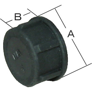�y���[�J�[�݌ɂ���z (��)��萻�쏊 ��萻�쏊 ����(PP)�� �L���b�v 49CAP40P JP�X