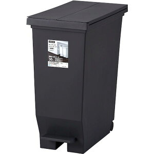 y[J[݌ɂz AXx() AXx Go Jy_y[30L ubN 630309 JPX