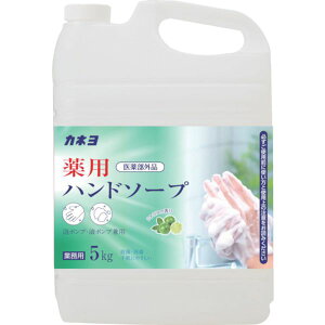 y[J[݌ɂz 701054A JlΌ() Jl pnh\[v 5kg 701054-A JPX