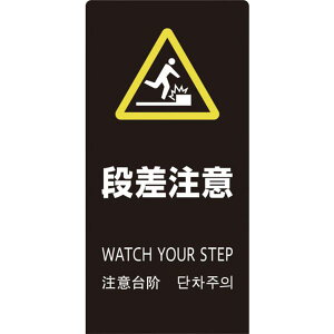 y[J[݌ɂz LS2246B5 ()  X^hTC LSTC ubN i LS2246B-5 JPX