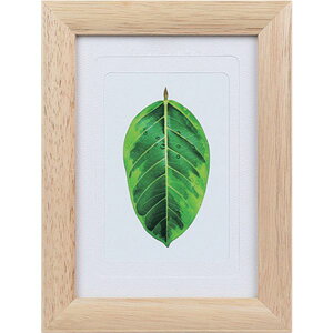 y[J[݌ɂz PSGMNA 1250172 ʐ^ S̖ i` PS-GM-NA PS-GM-NA JPX