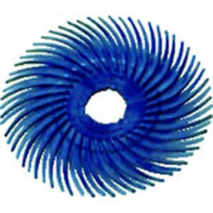 �y���[�J�[�݌ɂ���z BRDISC4002X38 �X���[�G�� 3M ���W�A���E�u���b�X���f�B�X�N ��400���� �� 50.8mm 40������ BR DISC 400 2X3/8 JP�X