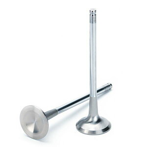 �yUSA�݌ɂ���z Supertech �z���_ NSX 30x5.46x111mm Inconel Chromed �G�L�]�[�X�g Racing �o���u �V���O�� (Drop Ship Only) sptHEVI-NSX-C1 JP�X