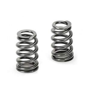 �yUSA�݌ɂ���z Supertech �g���^ G16E-GR �C���e�[�N/Exhaust Beehive �o���u �X�v�����O 12�Z�b�g sptSPR-FCO-BE2-12 JP�X