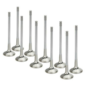 �yUSA�݌ɂ���z Supertech Audi/VW 2.0T FSI 16V Inconel �G�L�]�[�X�g�o���u 10�Z�b�g sptVWEVI-1002S-10 JP�X