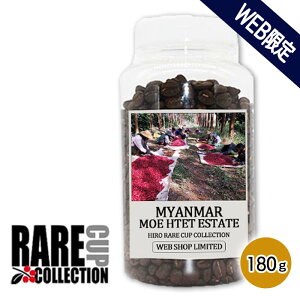 コーヒー 豆【レアカップ】ミャンマー モーテート農園 180g WEB限定 クリアストッカー入り【中浅煎り】【シングルオリジン】スペシャルティコーヒー 珈琲 珈琲豆 自家焙煎