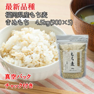 y_ƒz 4.5kgi900g×5jyߘa7NY ʂ(_@) L@Zpz ŐVi 唞 ʂ ʂ _ _ yfEVR̗L@A~m_͔| B Y  Yn