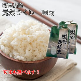 早期予約商品【農家直送】元気つくし 10kg(5kg×2)・夢つくし 10kg(5kg×2)【令和6年産 新米(無農薬米) 】 福岡県産 元気つくし 10kg(5kg×2) 白米・玄米・精米 無農薬 減農薬 酵素・有機アミノ酸栽培 米 国産 九州 産地直送 農家直売 令和6年産【送料無料】