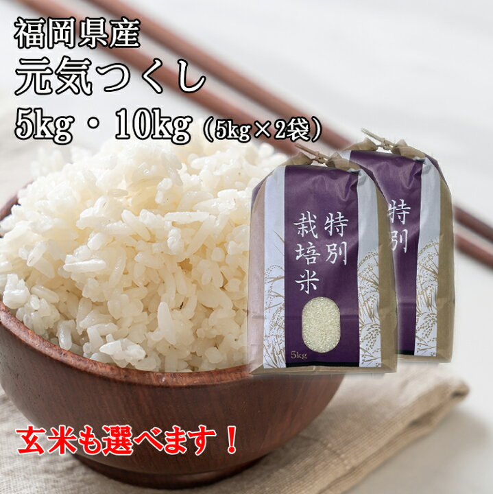 楽天市場】【農家直送】元気つくし 5kg・10kg(5kg×2)【令和7年産 