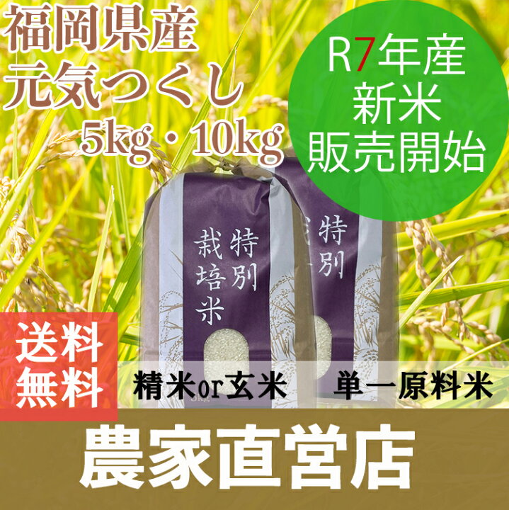 楽天市場】【農家直送】元気つくし 5kg・10kg(5kg×2)【令和7年産 