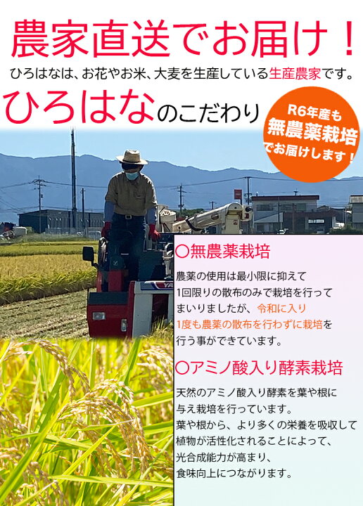 楽天市場】【農家直送】【令和6年産 新米(無農薬米) 販売開始】4世代 