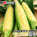 嶽きみ 6本 L〜2Lサイズ 送料無料 とうもろこし 嶽きみ 青森県 産 セット 産地直送 ブランド 有名 嶽 高原 だけきみ ダケキミ 販売 販売店 お取り寄せ 通販 購入 おすすめ 人気 予約 値段 時期 オンライン 季節 生 発送 2025