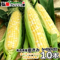 【まだ間に合う!!】嶽きみ 10本 L〜2Lサイズ 送料無料 とうもろこし 嶽きみ 青森県 産 セット 産地直送 …