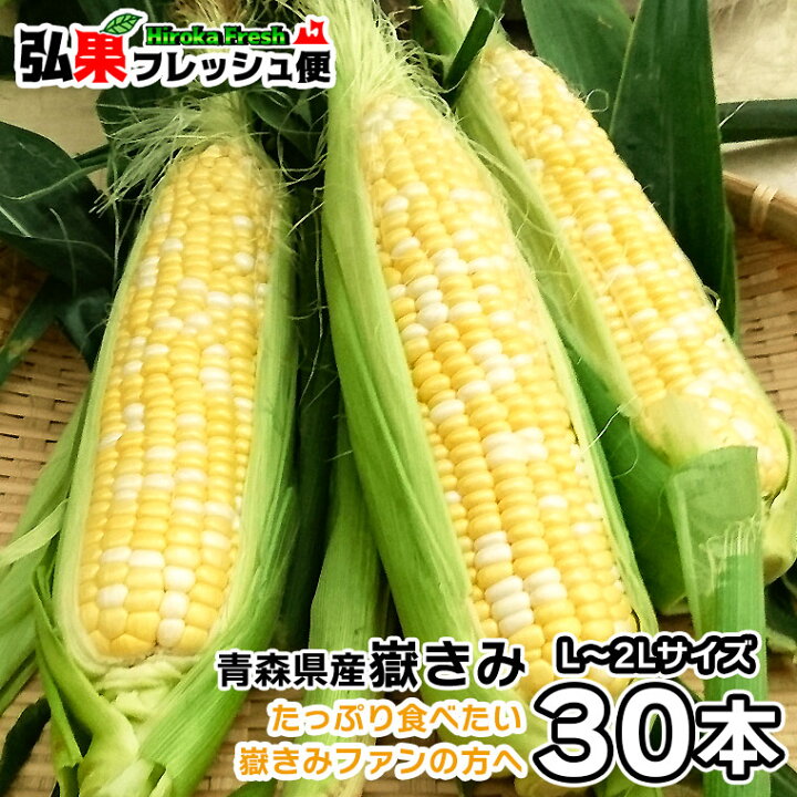 楽天市場】嶽きみ 30本 L〜2Lサイズ 送料無料 とうもろこし 嶽きみ 