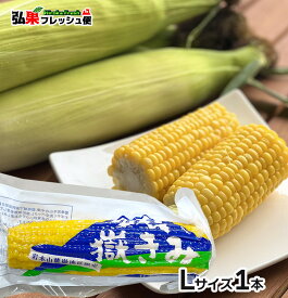 嶽きみ 真空パック　Lサイズ1本　とうもろこし だけきみ 食べたい時にすぐに食べれる便利な真空パック！当店人気商品・毎年数量限定での販売です！青森県産 弘果