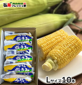 嶽きみ 真空パック　Lサイズ10本入り ギフト箱入り　とうもろこし だけきみ 食べたい時にすぐに食べれる便利な真空パック！当店人気商品・毎年数量限定での販売です！