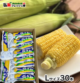 嶽きみ 真空パック Lサイズ30本入り　とうもろこし だけきみ 食べたい時にすぐに食べれる便利な真空パック！当店人気商品・毎年数量限定での販売です！青森県産 弘果