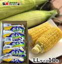 嶽きみ 真空パック　LLサイズ10本入り ギフト箱入り　とうもろこし だけきみ 食べたい時にすぐに食べれる便利な真空パ…