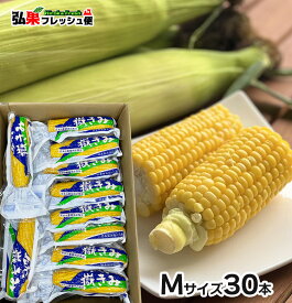 嶽きみ 真空パック Mサイズ30本入り　とうもろこし　青森県　トウモロコシ　パック　そのまま　食べたい時にすぐに食べれる便利な真空パック　弘果