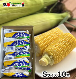 嶽きみ 真空パック　Sサイズ10本入り　ギフト箱入り とうもろこし だけきみ 食べたい時にすぐに食べれる便利な真空パック！当店人気商品・毎年数量限定での販売です！青森県産 弘果