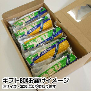嶽きみ真空パックギフト箱入りMサイズ10本入りとうもろこしだけきみ食べたい時にすぐに食べれる便利な真空パック!当店人気商品・毎年数量限定での販売です!青森県産弘果