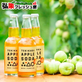 もりやま園 テキカカアップルソーダ 330ml×24本　りんごジュース 摘果りんご ストレート果汁 100%＋炭酸 青森県 TEKIKAKA APPLE SODA ノンアルコール お中元 お歳暮 ギフト ソフトドリンク