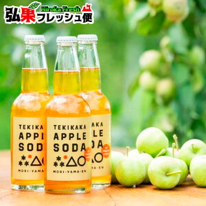 ܉ eLJJAbv\[_ 330ml×24{@񂲃W[X Eʂ Xg[gʏ` 100%{Y_ X TEKIKAKA APPLE SODA mAR[  Ε Mtg \tghN