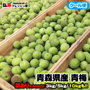 【予約開始】青森県産 青梅（品種：豊後）3kg・5kg・10kg 訳あり 大小さまざま（ダンボールにバラ詰め）生梅 梅 うめ ウメ 梅酒 梅干し 梅ジュース 梅シロップ 梅ジャム 加工用 訳アリ【クール便（冷蔵）】
