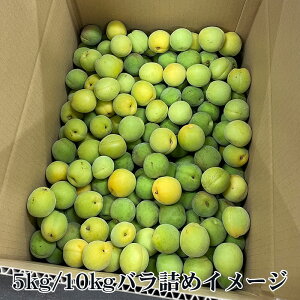 �y�\��J�n�z�X���Y �~�i�i��F�L��j3kg�E5kg�E10kg �󂠂� �召���܂��܁i�_���{�[���Ƀo���l�߁j���~ �~ ���� �E�� �~�� �~���� �~�W���[�X �~�V���b�v �~�W���� ���H�p ��A���y�N�[