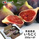 【出荷開始！】いちじく 1kg（250g×4P入）クール便 送料無料 ドーフィン 国産 生 フレッシュ 新鮮 無花果 イチジク …