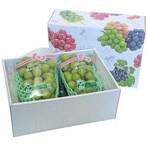 VC}XJbg  XY 1[E2[ 1[700gȏ Mtg Ԃǂ uhE t[c  I Ε Ε   肠 O