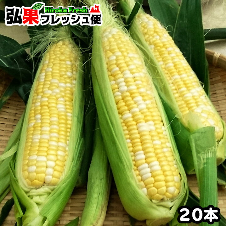 楽天市場 嶽きみ 本とうもろこし 嶽きみ 青森 送料無料 とっても甘くて新鮮 嶽きみ L 2lサイズ 本 青森県産 岩木山 嶽高原 だけきみ 嶽のトウモロコシ 販売 弘果 弘果フレッシュ便