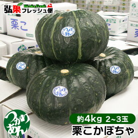 【予約受付中！】栗こかぼちゃ 2〜3玉入[約4kg] 送料無料 つがりあん かぼちゃ カボチャ 栗かぼちゃ 販売店 通販 青森産 青森県産 弘果 おすすめ 人気 ※玉数指定不可※