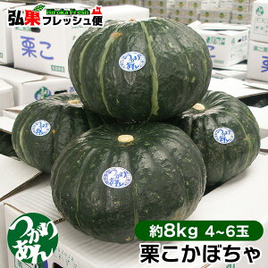 Iڂ 4`6ʓ[8kg]  肠 ڂ J{` Iڂ ̔X ʔ XY XY O  lC ʐws