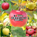 おまかせりんご 約5kg前後【家庭消費用】【送料無料】青森県産　リンゴ　林檎　青森りんご販売　ワケアリ　5kg　いろいろな品種が入ります