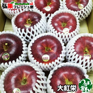 Ε  X gh p 5kgOyzyp ʁzugh()v10`16y肠AbvzyX  Εzy Ε Xzy