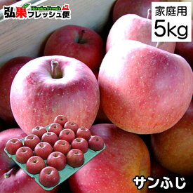 【家庭消費用】サンふじ 約5kg前後 14個〜20個入 送料無料 青森県産 りんご 5kg 訳あり 訳アリ 青森 産地直送 サンフジ 家庭用 フルーツ ワケアリ 家庭用