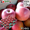 【家庭消費用】サンふじ 約10kg前後 28個〜40個入 送料無料 10kg 訳あり 訳アリ 青森 訳ありりんご 家庭用 フルーツ 林檎 リンゴ 10キロ