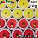 【贈答用】サンふじ・王林　約5kg前後 14個〜20個入【送料無料】御歳暮 お歳暮 冬ギフト 青森県産 林檎 リンゴ 弘果 フルーツ 贈り物 高級 林檎 人気