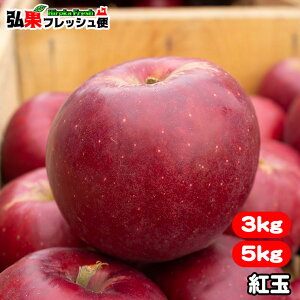 yzX  󂠂 g 3kgO 8`14^5kgO 12`24 傭 gʂ XY