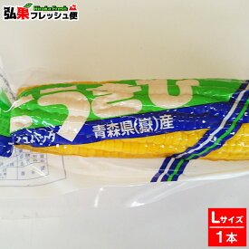 嶽きみ 真空パック　Lサイズ1本　とうもろこし だけきみ 食べたい時にすぐに食べれる便利な真空パック！当店人気商品・毎年数量限定での販売です！青森県産 弘果