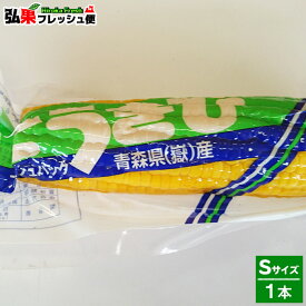 【2023年度産】嶽きみ 真空パック Sサイズ1本　とうもろこし だけきみ 食べたい時にすぐに食べれる便利な真空パック　当店人気商品・毎年数量限定での販売です！青森県産 弘果 トウモロコシ