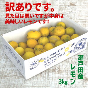 yL˓cY 3kg 󂠂 m[bNX s z   ܂Ȃ  Hp Wp W[Xp ƒp LY _ p TCYႢ  ƒp ~LT[ i