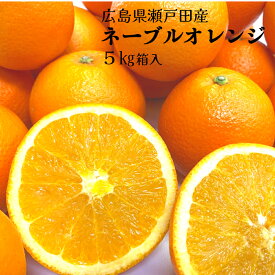 【広島県瀬戸田産ネーブルオレンジ5kg】箱入り 1〜2級 M〜2Lサイズ混載 ノーワックス 尾道 しまなみ海道 瀬戸内 生口島 贈り物