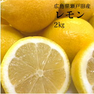 【広島県瀬戸田産レモン2kg 1〜3級混載 ノーワックス サイズ不揃い】送料無料 防腐剤不使用 箱入り 贈答 …