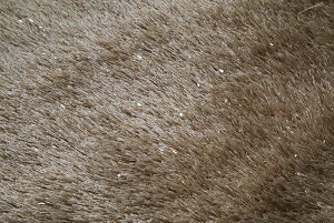 ラグマット ラグカーペット 超高密度 シャギーラグ 100×140 / 140×200 / 200×200 / 200×250 40mmパイル ラグ 絨毯 ラグマット カーペット 床暖房 ホットカーペット対応 グラデーション 正方形 長方形