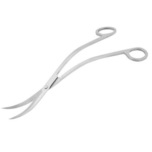  g~Op nT~ EF[u 25cm Mы ANAE  | ͂ eiX[`OXցAAs]